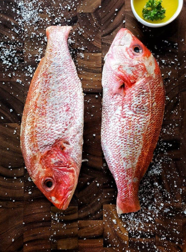 Whole Red Snapper (5 pcs)