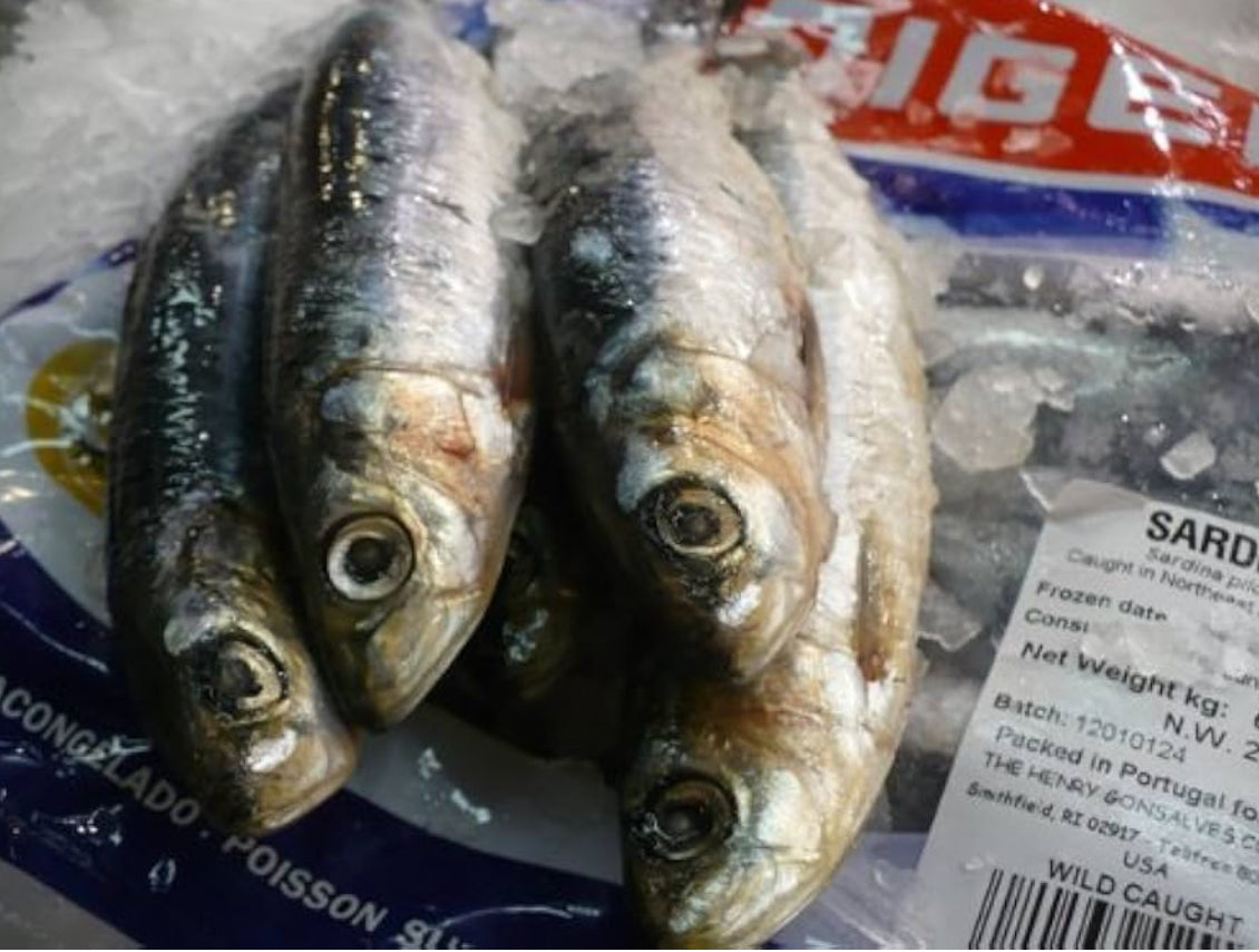 Whole Sardines (8 lbs)